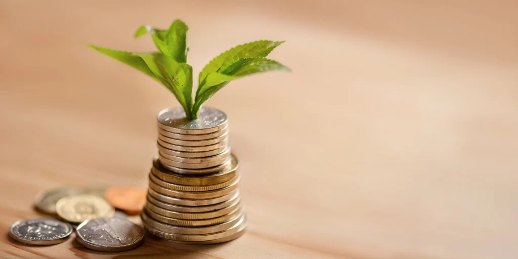 what is imputed income