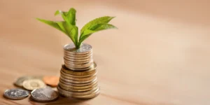 what is imputed income